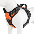 PHOEPET No Pull Dog Harnesses for Small Puppies Reflective Adjustable by PHOEPET
