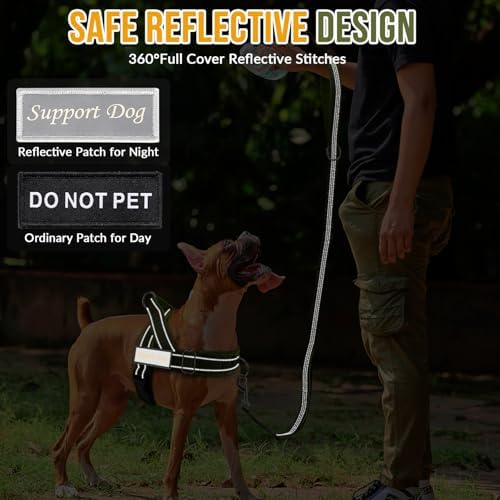 Lukovee No Pull Dog Harness and Leash Set, Soft Padded - Image 6