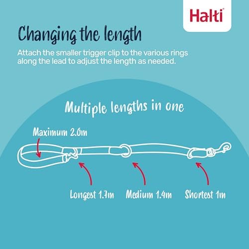 Halti Training Dog Leash | Size L, Burnt Orange | 2m Length - Image 2
