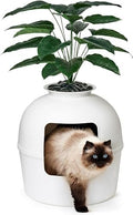 Secret Litter Box by Bundle & Bliss by SecretLitterBox