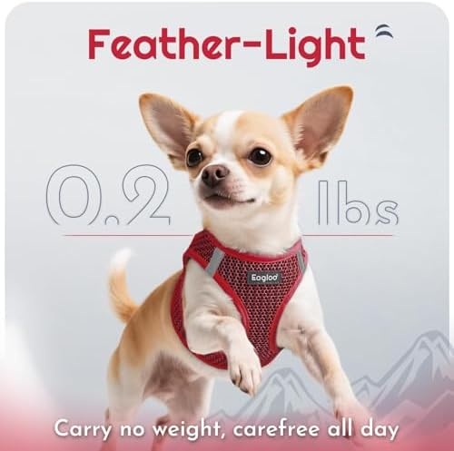 Eagloo Small Dog Harness and Leash Set, Step in Medium Small Puppy Pet Vest - Image 5