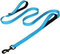Joytale Dog Leash for Large Dogs that Pull, Double Handle, Aqua Blue by Joytale