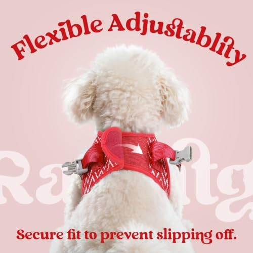 rabbitgoo Dog Harness Small Sized and Leash Set, Step in Soft Vest - Image 6
