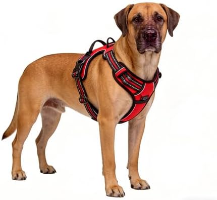 Red No-Pull Dog Harness with 2 Leash Clips，Soft Padded Vest - Image 5