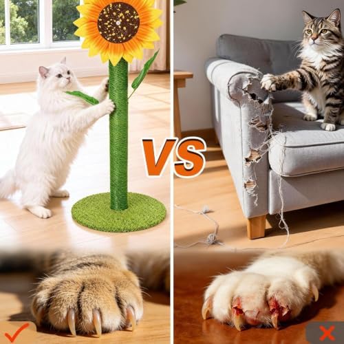 Sunflower Interactive Cat Toys for Indoor Cats, Cute Cat Scratch Post - Image 6