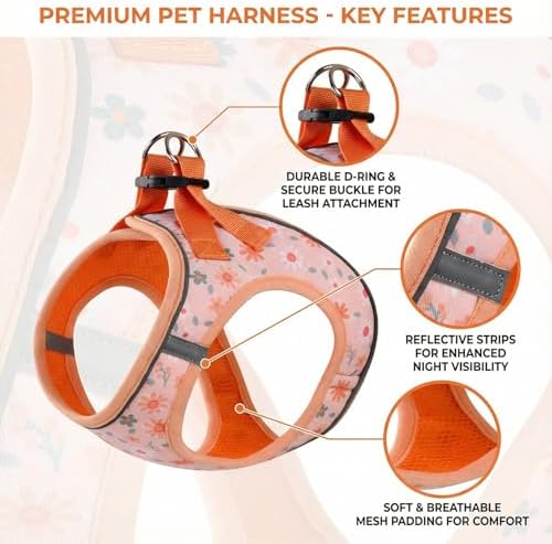 Mihqy Step in Dog Harness and Leash Set, Breathable Mesh - Image 2