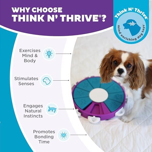 Outward Hound Nina Ottosson Dog Twister Dog Toy Treat Puzzle - Image 6