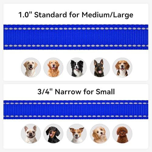 Joytale Reflective Dog Leash for Medium & Large Dogs, 5 FT x 1" - Image 6