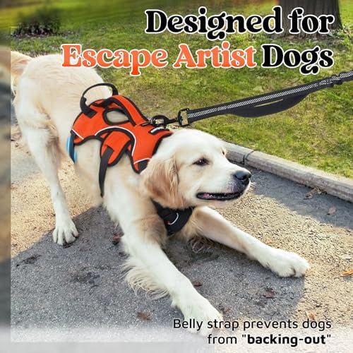 rabbitgoo Escape Proof Dog Harness - Image 2