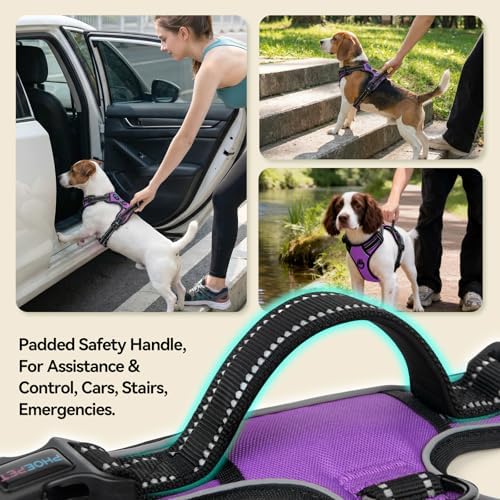 PHOEPET No Pull Dog Harness Medium Reflective Front Clip Puppy Vest - Image 4