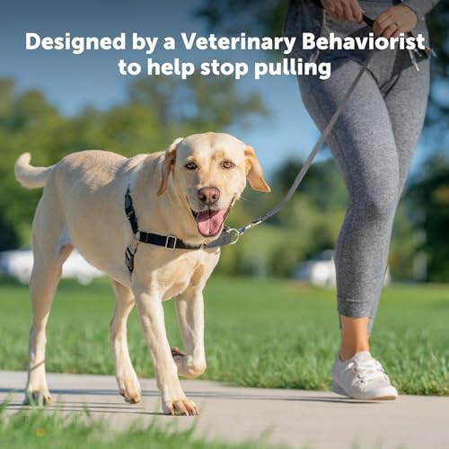 PetSafe Easy Walk Harness, No Pull Dog Harness, Royal Blue - Image 2