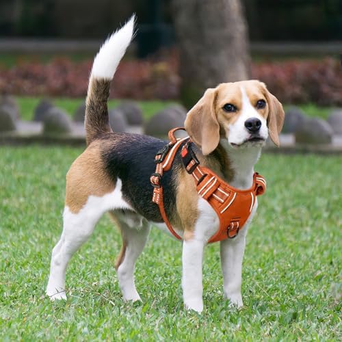 Timos Dog Harness, Front Clip No Pull Medium Sized - Image 6