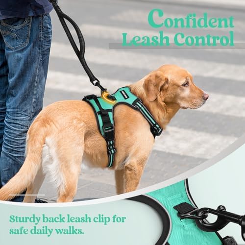 rabbitgoo Dog Harness, No Pull Medium Sized - Image 6