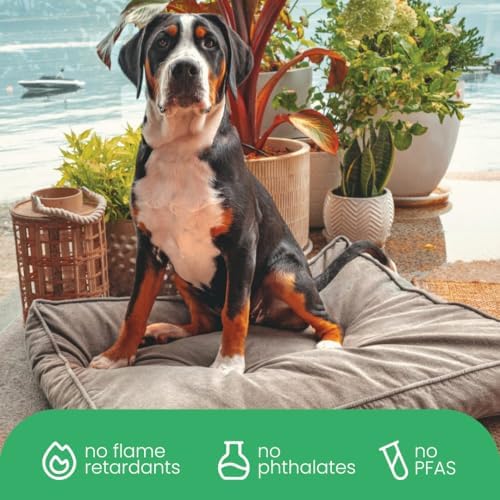 Molly Mutt Gray Dog Bed Cover, Non-Toxic & 100% Cotton - Image 6