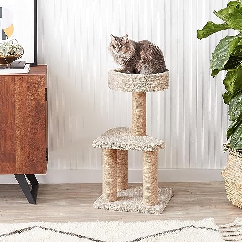 Amazon Basics Cat Tree - Image 3