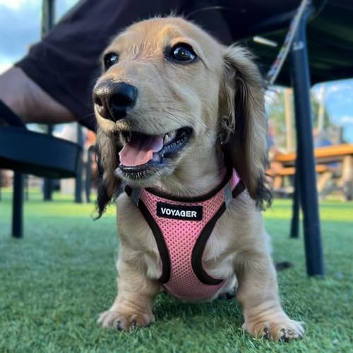 Voyager Step-in Air Dog Vest Harness - Image 6