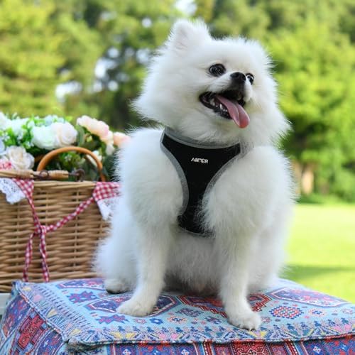 AMTOR Small Dog Harness with Leash Set, No Escape Easy Walk Puppy Harnesses - Image 5