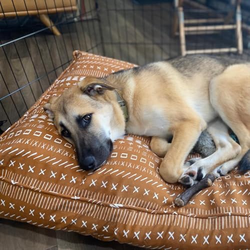 Molly Mutt Everywhere Dog Bed Duvet Cover, 100% Cotton Canvas Cover - Image 3