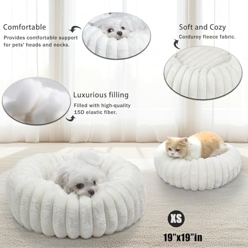 Small Cat Beds for Indoor Cats - Image 3