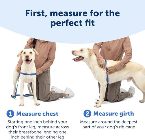 PetSafe Easy Walk Deluxe Dog Harness, No Pull Dog Harness – Perfect - Image 5