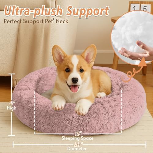 JOLLYVOGUE Calming Small Dog & Cat Bed - Image 5
