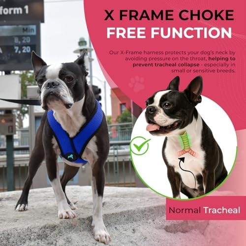 Gooby Comfort X Head-in Dog Harness, Choke-Free - Image 6