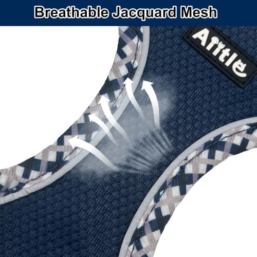 AIITLE Breathable Dog Harness Small Sized and Leash Set - Image 2