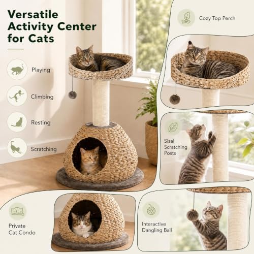 PETSITE Modern Cat Tree Tower, Paper Rope Natural Bowl Shaped - Image 4