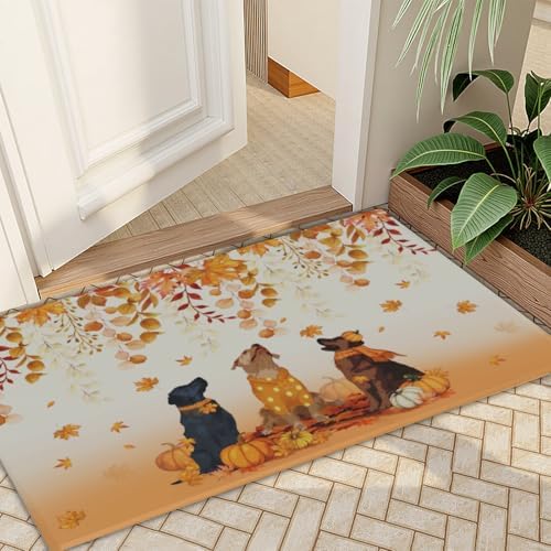 Giwawa Fall Dogs Bath Rug Autumn Leaves Bathtub Mat Non Slip Absorbent Holiday - Image 7