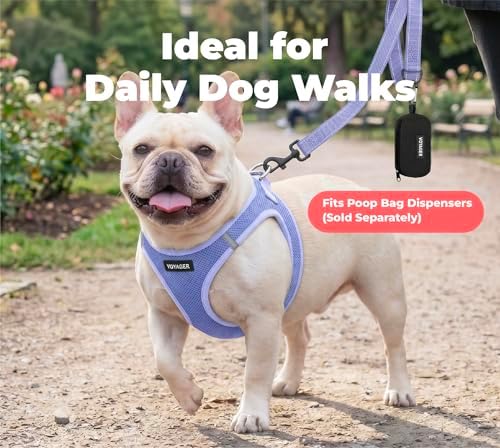 Best Pet Supplies Voyager Nylon Dog Leash - Image 3