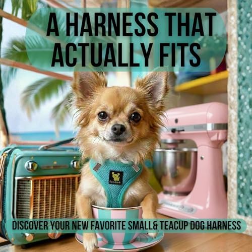 EcoBark Teacup Dog Harness, Step in Mesh Soft Vest, Mint Turquoise - Image 3