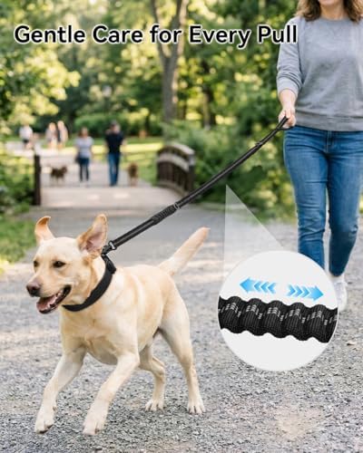 Joytale Tactical Bungee Dog Leash, Shock Absorbing No Pull - Image 2