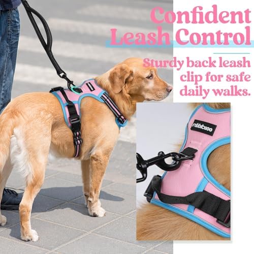 rabbitgoo Dog Harness, No Pull Medium Sized - Image 5