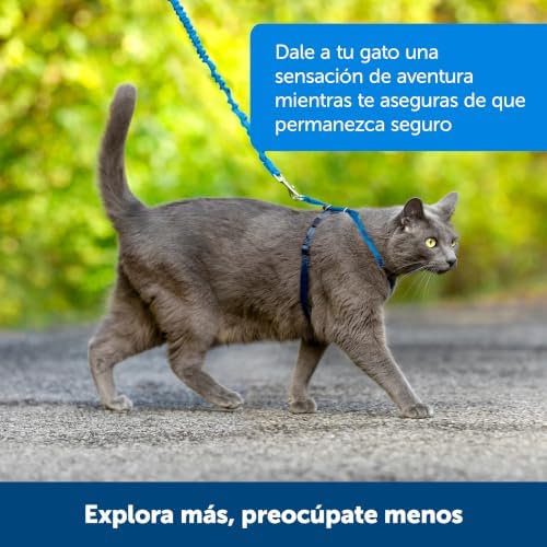 PetSafe Come With Me Kitty Harness and Bungee Leash, Harness - Image 6