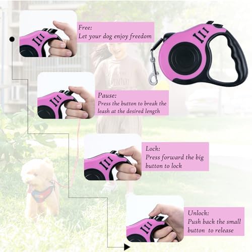 Retractable Dog Leash, 10 FT Dog Leash - Image 4