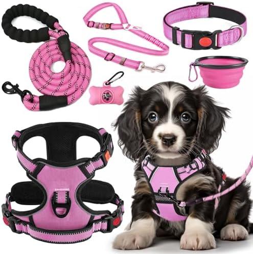 LOBEVE No Pull Dog Harness, Collar & Leash Set by Lovebegetslove