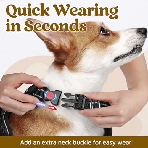 rabbitgoo Dog Harness for Large, No Pull 3 Buckles Easy On & Off - Image 2