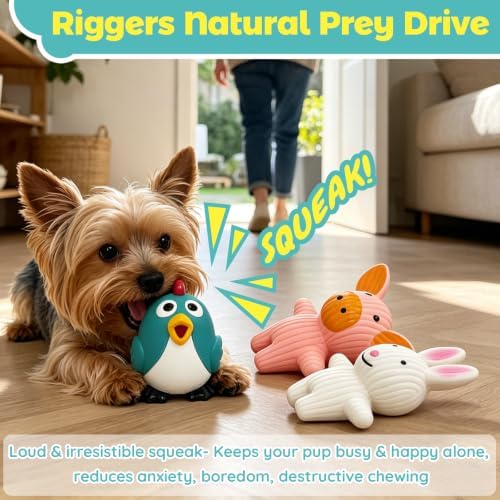 LECHONG 5 Pack Latex Dog Toys for Small Dogs – Squeaky Squeeze Toys, Puppy - Image 7