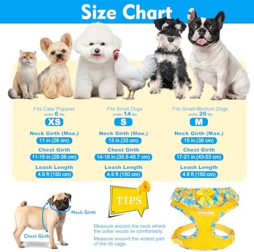 EXPAWLORER Step-in Dog Harness Small Sized and Leash Set - Image 2