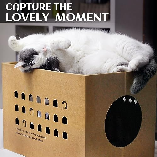 ARGOPET Cat Cardboard House - Image 5