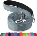 Joytale Reflective Dog Leash for Small Dogs, 5 FT x 3/4" by Joytale