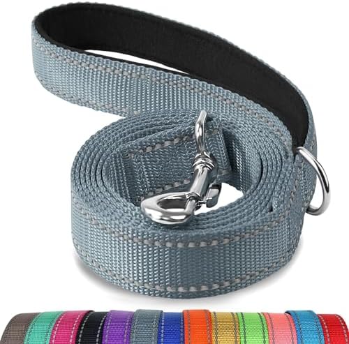 Joytale Reflective Dog Leash for Small Dogs, 6 FT x 3/4" by Joytale