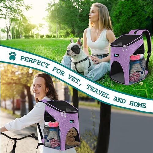 PetAmi Cat Backpack Carrier for Small Dogs and Large Cats, Airline Approved - Image 6
