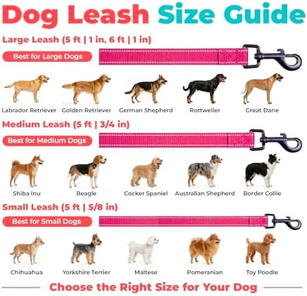 Best Pet Supplies Voyager Nylon Dog Leash - Image 6