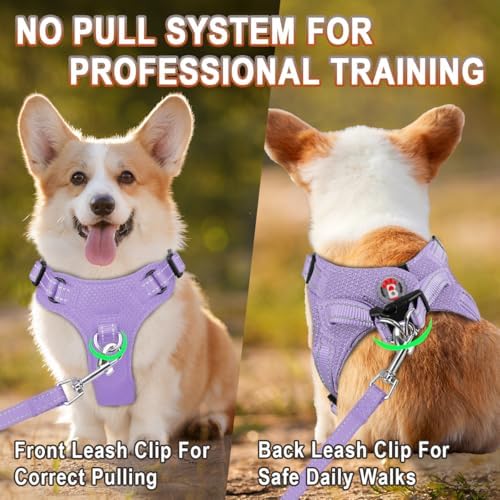 BARKBAY Small Dog Harness, No Pull Puppy Harness, Step-in Dog Vest - Image 5