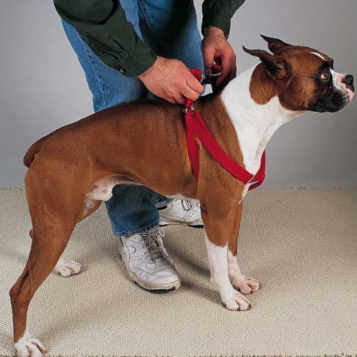HDP Step in Harness Dog Pet Walk Adjustable - Image 2