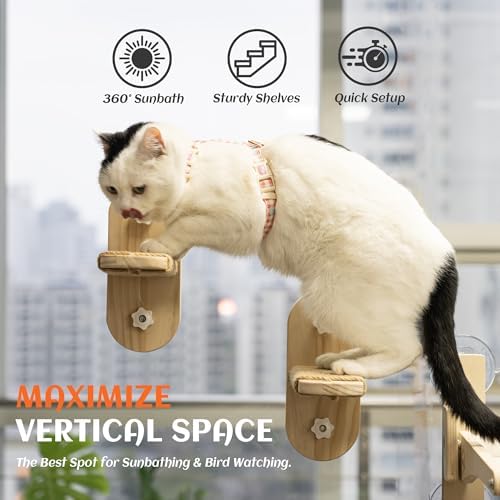 PETKARAY Large Cat Window Shelf, Upgraded Window Stairs - Image 4