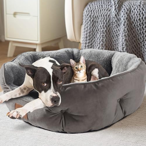 Asvin Large Dog Bed for Large Dogs, Cat Beds for Indoor Cats, Pet Bed for Puppy - Image 2