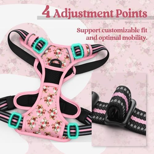 rabbitgoo Dog Harness, No Pull for Small Dogs - Image 4
