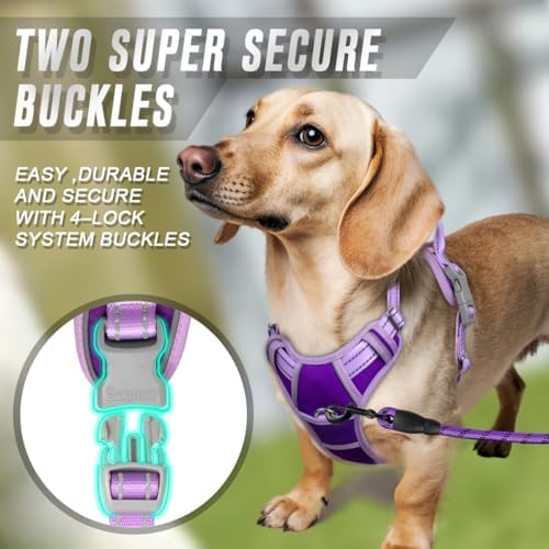 BARKBAY Dog Harness No Pull for Small Sized Dog Front Back Clips, Dog Vest - Image 4